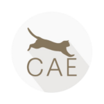 Certified Agile Essentials