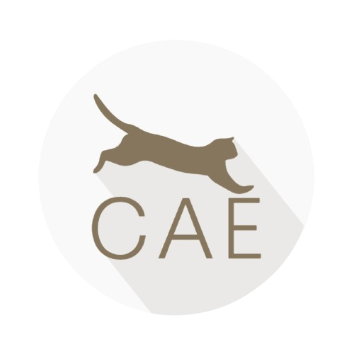 Certified Agile Essentials