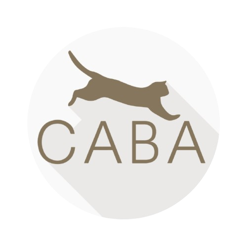 Certified Agile Business Analyst