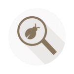 Fundamentals of Software Testing