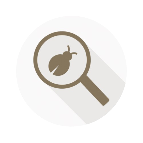 Fundamentals of Software Testing